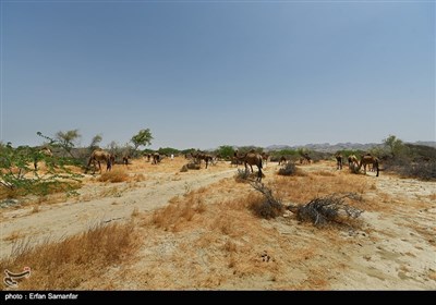 صوبہ سیستان و بلوچستان کے قدرتی مناظر