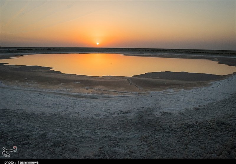 Shadegan: A Unique, Wonderful Wetland Southwest of Iran