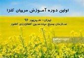 طرح حمایت از خودکفایی دانه های روغنی بسیج مهندسین کشاورزی آغاز شد