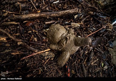 Flash Flooding Hits Northern Iran