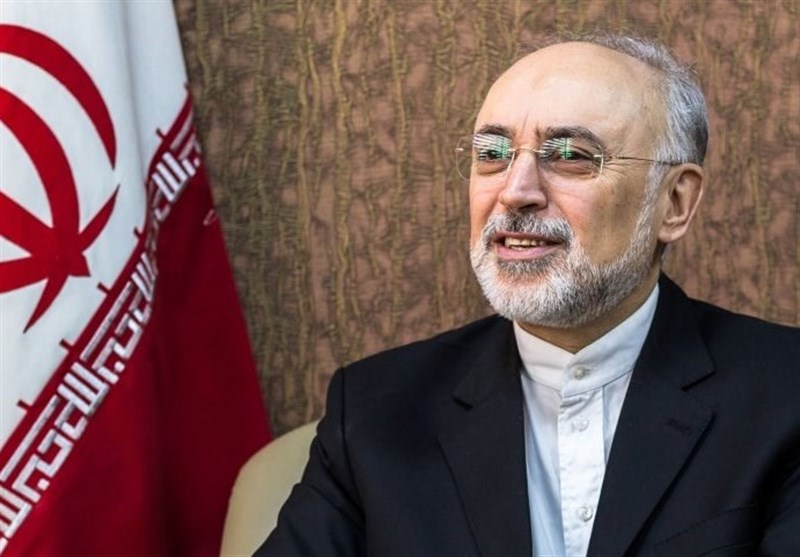 Iran to Honor JCPOA Obligations without US: AEOI Chief