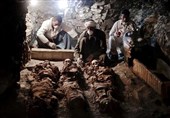 مومیایی جدید مصر