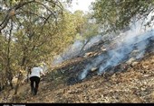 لرستان| طرح آتش‌بر در مناطق جنگلی شهرستان دلفان اجرا شود