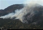 سمنان| آخرین جزئیات از آتش‌سوزی جنگل ابر شاهرود؛ آتش مهار شد