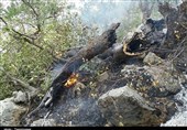 آتش‌سوزی تنگ ترکان کازورن مهار شد
