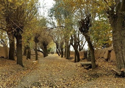 فراهان
