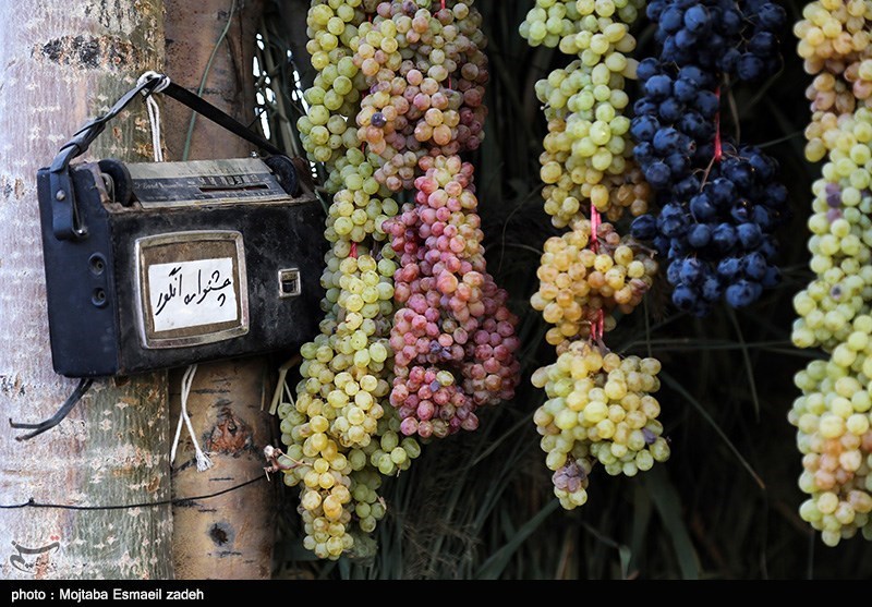 سومین جشنواره انگور و بوم‌گردی حسن رباط اصفهان برگزار می‌شود
