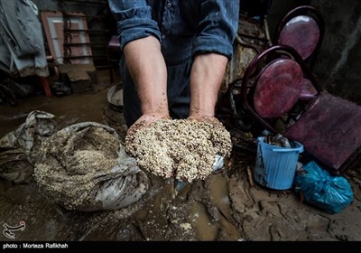 ایران کے صوبہ گیلان میں سیلاب کی تباہیاں
