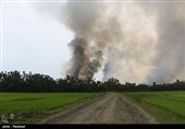 دولت میانمار روستاهای سوزانده‌شده مسلمانان را تصرف می‌کند