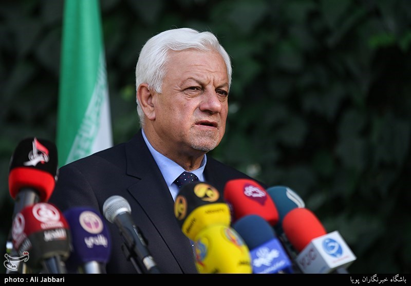 Iraq Cannot Defeat Enemies without Iran: Envoy
