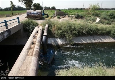 به گفته علیرضا دل پیشه رئیس گروه نظارت بر بهره برداری شبکه های آبیاری و زهکشی آب منطقه ای تهران " بر اساس تخصیص های صورت گرفته ، شهرستان اسلامشهر 17.8 درصد، شهریار 10.2 و بهارستان و رباط کریم 72 درصد از آب این کانال سهم دارند."