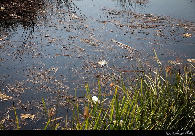 رئیس سازمان حفاظت محیط زیست: هنوز فاضلاب 3 روستا وارد دریاچه زریبار مریوان می‌شود