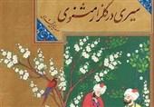 «سیری در گلزار مثنوی» با این کتاب