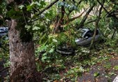 8 کشته 67 زخمی در پی طوفان سهمگین در رومانی