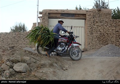 جاده خاکی و صعب العبور روستای راستقان از توابع شهرستان راز و جرگلان باعث آزردگی بسیاری از روستاییان شده است.