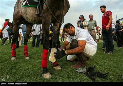 مسابقه چوگان در میدان نقش جهان