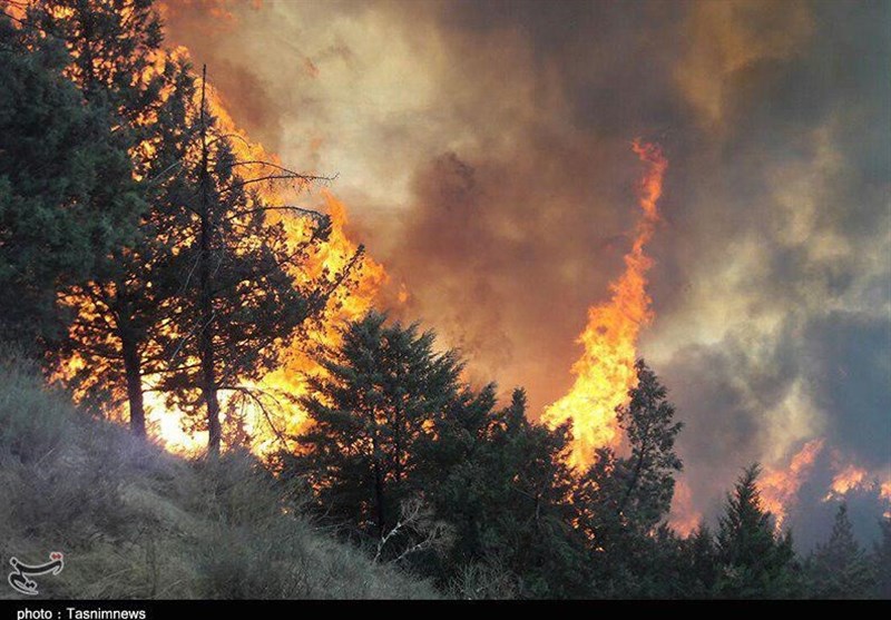 Forest Fire in Northern Iran Still Burning