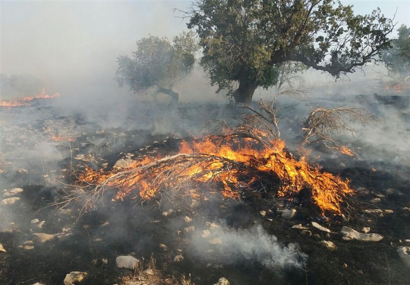 آتش‌سوزی منابع طبیعی استان کرمانشاه 54 درصد کاهش یافت