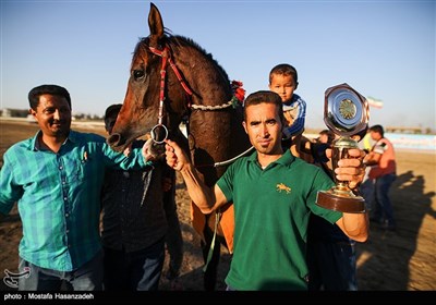 هفته قهرمانی مسابقات اسب‌دوانی تابستانه کشور در بندرترکمن