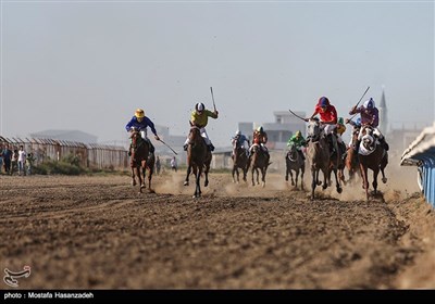 هفته قهرمانی مسابقات اسب‌دوانی تابستانه کشور در بندرترکمن