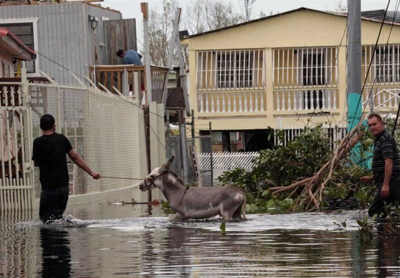 35هزار آمریکایی هنوز با خسارات طوفان 15 ماه پیش ماریا دست‌وپنجه نرم می‌کنند