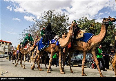 ورود نمادین کاروان امام حسین (ع) به کربلا - همدان