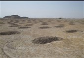 193 هکتار اراضی ملی استان بوشهر به طرح‌های کشاورزی و تولیدی تخصیص داده شد