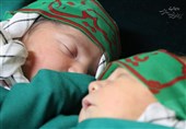 همدان| 31 هزار و 193 ولادت در سال 96 در استان همدان به ثبت رسید
