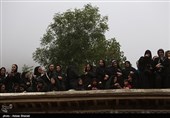آیین علم بندان ماسوله