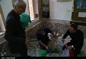 آیین علم بندان ماسوله