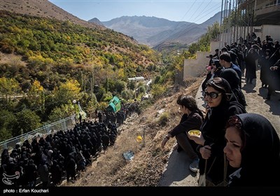 آیین سنتی نخل گردانی در روستای نوا