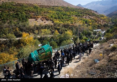 آیین سنتی نخل گردانی در روستای نوا