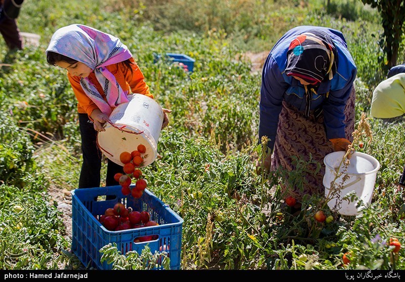 زمین‌های مناسب کشاورزی نباید تغییر کاربری داده شود