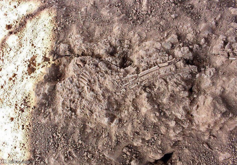 اسکلت کشف شده از تپه پوستچی شیراز متعلق به دوره پیش از اسلام است