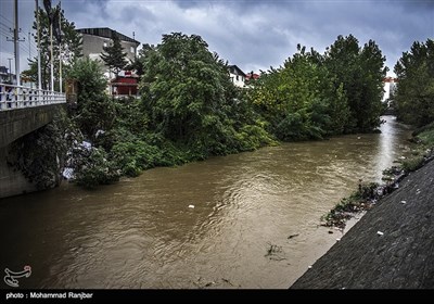 بارش شدید باران در رشت