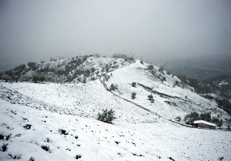 ارتفاع برف در مناطق کوهستانی شهرستان املش به 15 سانتی‌متر رسید