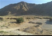 مرگ تدریجی کشاورزی در جنوب فارس؛ ماجرای طرحی که خاک می‌خورد + فیلم