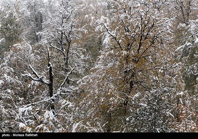 نخستین برف پاییزی در ارتفاعات اسالم به خلخال