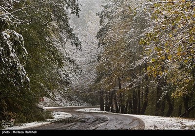 Early Snow Covers Iran's Northern Region