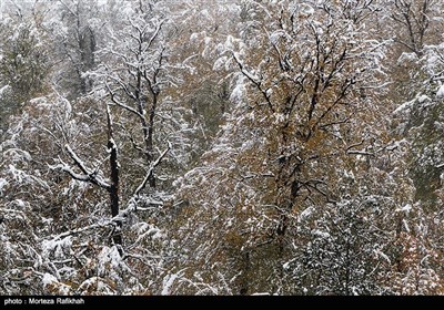 ایران کے صوبہ گیلان میں سال کی پہلی برف باری