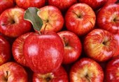 25 هزار تن سیب درختی برای تنظیم بازار شب عید ذخیره شد