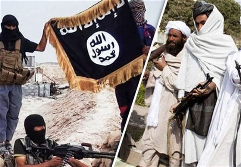 اتحاد با داعش هرگز امکانپذیر نیست/حکم رهبر طالبان مبارزه با داعش است