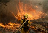 مرگبارترین آتش سوزی در تاریخ کالیفرنیا 40 کشته بر جای گذاشت