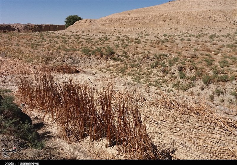پاییز خشک در جنوب ایران/ حاشیه خلیج فارس بدون یک قطره باران