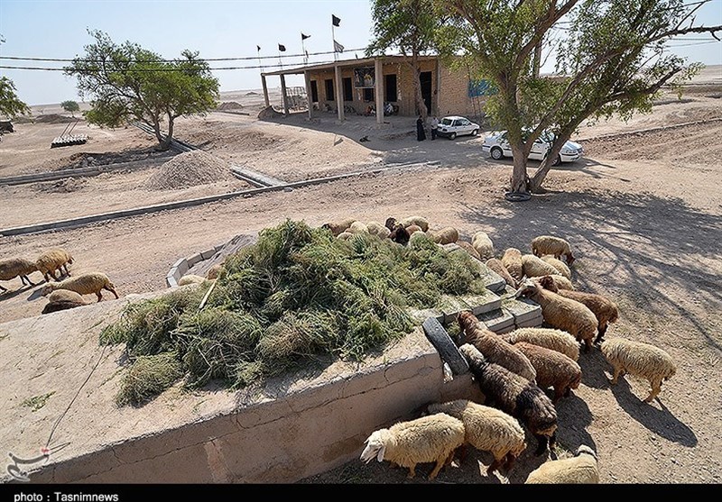 فیلم| 38 روستای ماهشهر فاقد امکانات اولیه است