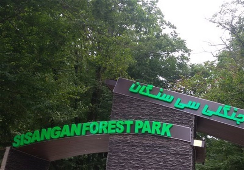 Iran&apos;s Sisangan Forest Park, Vivid, Dynamic