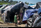 Bangladesh Says Rohingya Arrivals &apos;Untenable&apos; as Thousands Arrive Daily