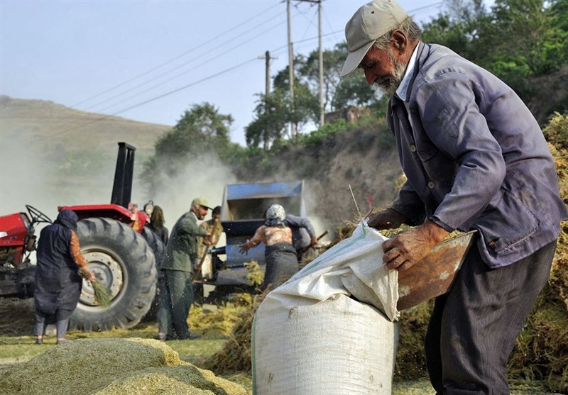 40 هزار کشاورز از ‌‌صندوق بیمه کشاورزان مستمری دریافت می‌کنند‌