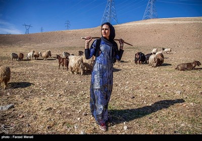 فتاة بدویة بطلة الدورة الحادیة عشرة للکیک بوکسینغ فی ایران