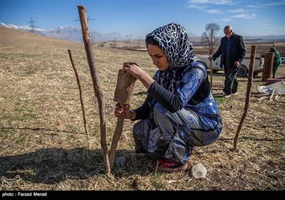 فتاة بدویة بطلة الدورة الحادیة عشرة للکیک بوکسینغ فی ایران